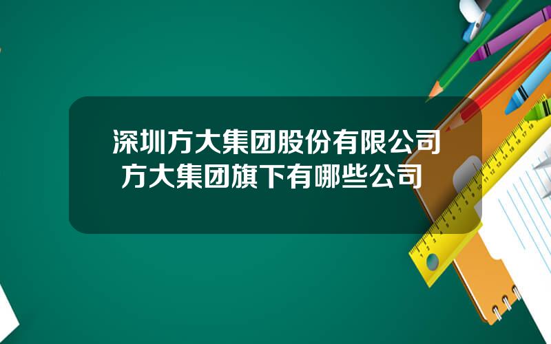 深圳方大集团股份有限公司 方大集团旗下有哪些公司